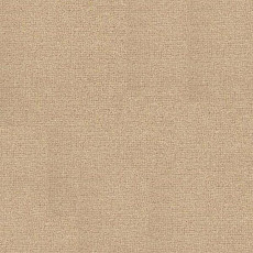 Ковролин Radici Abetone Grema 4484 фото 1 | FLOORDEALER